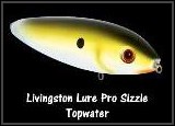 This is Livingston Lures, Pro Sizzle topwater that caught some really nice large and smallmouth bass for us. The GUYS will be using these lures on every body of water we fish because they CATCH fish!!