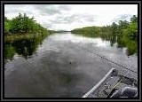 We caught some really nice fish in this cove in the northern end of the lake. Overcast skies and still water is ideal for buzzbaits.