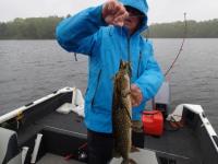 AL PICKS UP ANOTHER PIKE ON THE STEELSHAD!