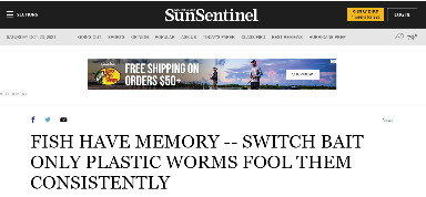 

FISH HAVE MEMORY -- SWITCH BAIT ONLY PLASTIC WORMS FOOL THEM CONSISTENTLY